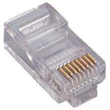 RJ45 UTP CAT5 MACHO