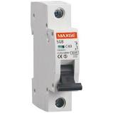 INT. MAGNETOTERMICO 1x2A  MAXGE