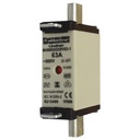 FUSIBLE NH000 100A GG 500V
