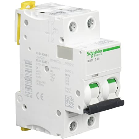 INT. MAGNETOTERMICO 2x6A IC60N SCHNEIDER