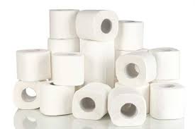 ROLLO PAPEL HIGIENICO 300/S PREMIUM (96 UD)