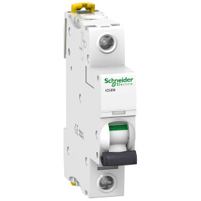 INT. MAGNETOTERMICO 1x10A SCHNEIDER A9F79110