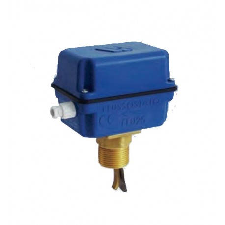 Interruptor de flujo 1" para tuberías comprendidas entre DN1" y DN8 - WATTS