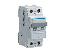 [EPR0522] INT. MAGNETOTERMICO 2x10A HAGER NCN210A