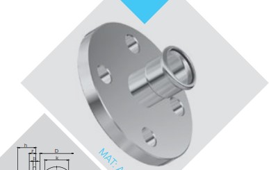 [CTU1962] BRIDA INOX 1 1/4" PRESS ADAPTADOR