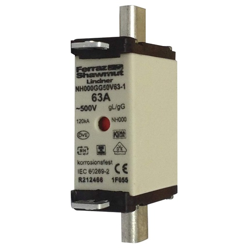 [EPR0607] FUSIBLE NH00 160A GG 500V