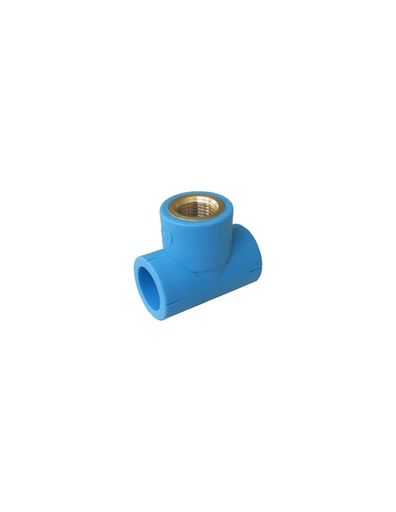 [CTU0522] Te PPR  D25-3/4-25 (Italsan) ROSCA H  Termosoldable