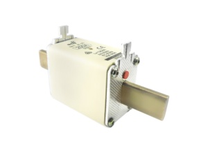 [EPR0289] FUSIBLE NH1 GG 250A 500V